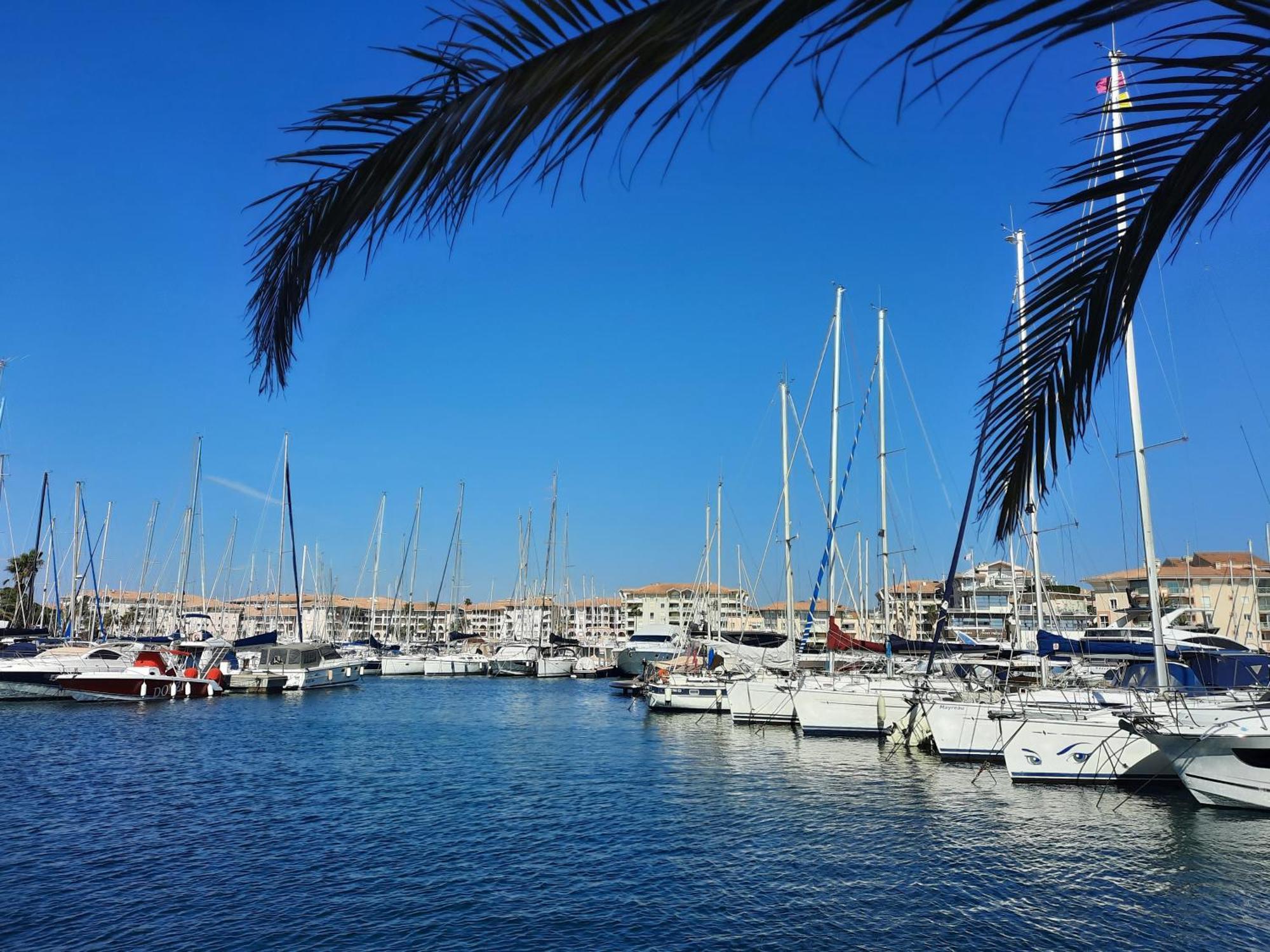Fréjus Coeur Marina Climatise Terrasse Parking 아파트 외부 사진